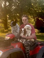 Ace, a male Cavapoo for sale in Cainsville, MO – 6 of 7
