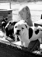 processed/9406c220-27f6-4387-acfe-d2d0c84f0a5e/facility/c2a1d123-54ab-4ca7-994b-e4ecf12bc5ad