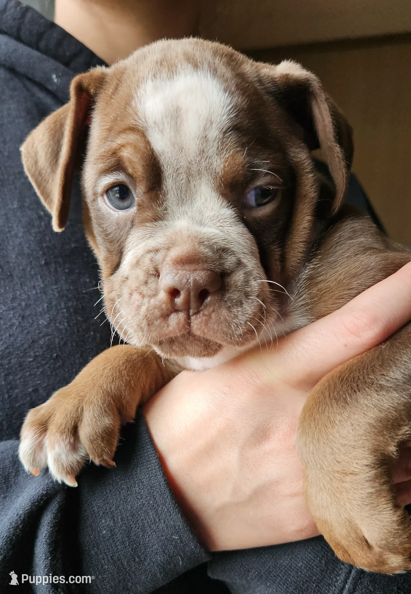 processed/9406c220-27f6-4387-acfe-d2d0c84f0a5e/listing/371bc157-94da-41ae-b78a-06ddf10f51aa/d0d20cbd-e3da-43db-b9a2-54af4bfaae20