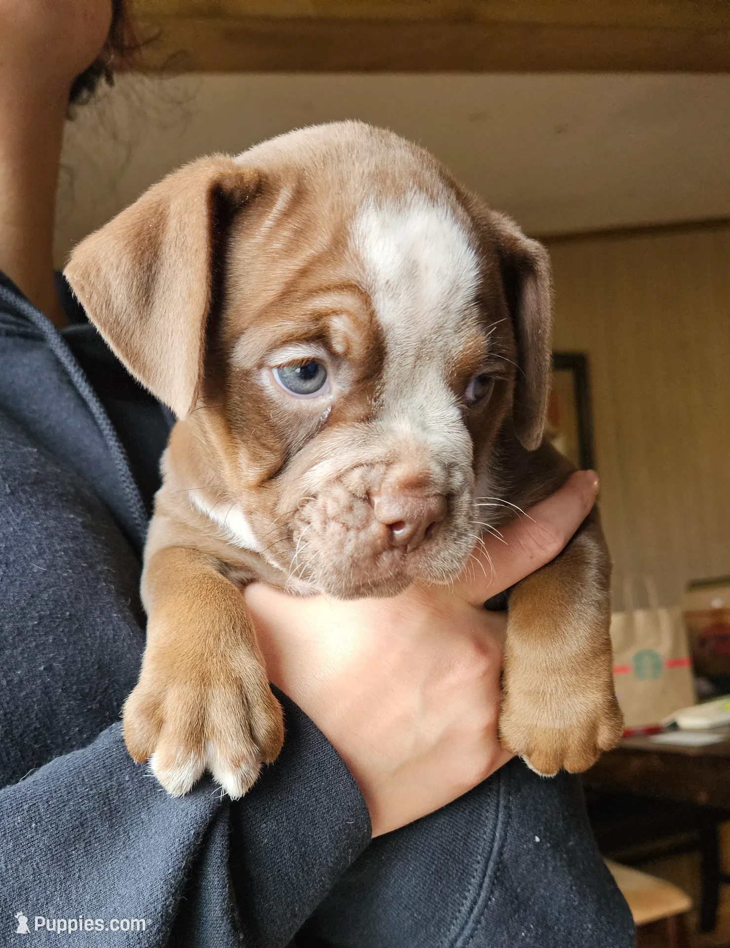 processed/9406c220-27f6-4387-acfe-d2d0c84f0a5e/listing/371bc157-94da-41ae-b78a-06ddf10f51aa/eeb0b8c7-0db8-4d52-8434-76e4eb7e619c