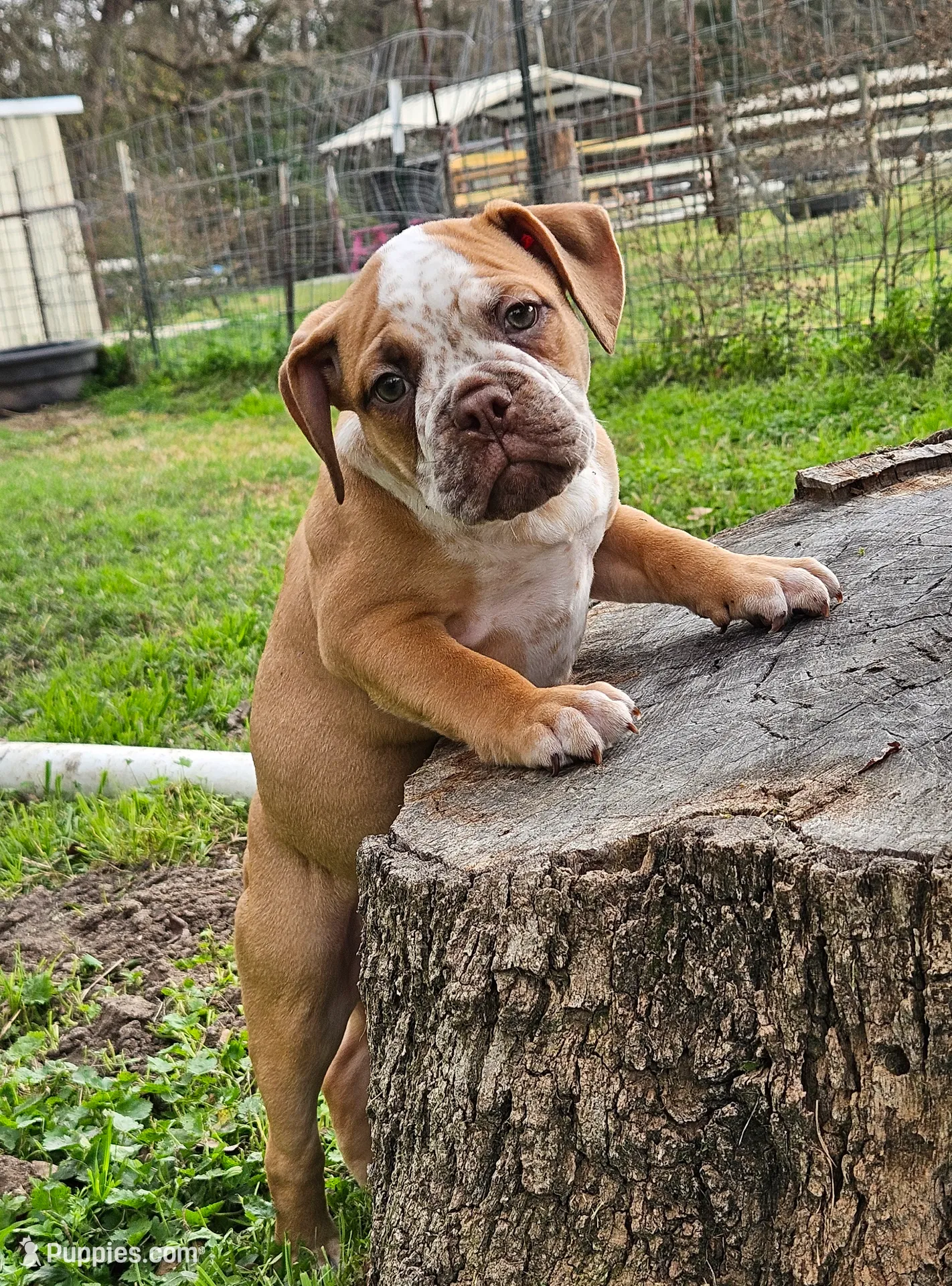 processed/9406c220-27f6-4387-acfe-d2d0c84f0a5e/listing/5a7f2a4e-d7c4-4612-b167-640feafb3eb6/054c02e4-c3a5-4ce0-bb80-1488362c76ba