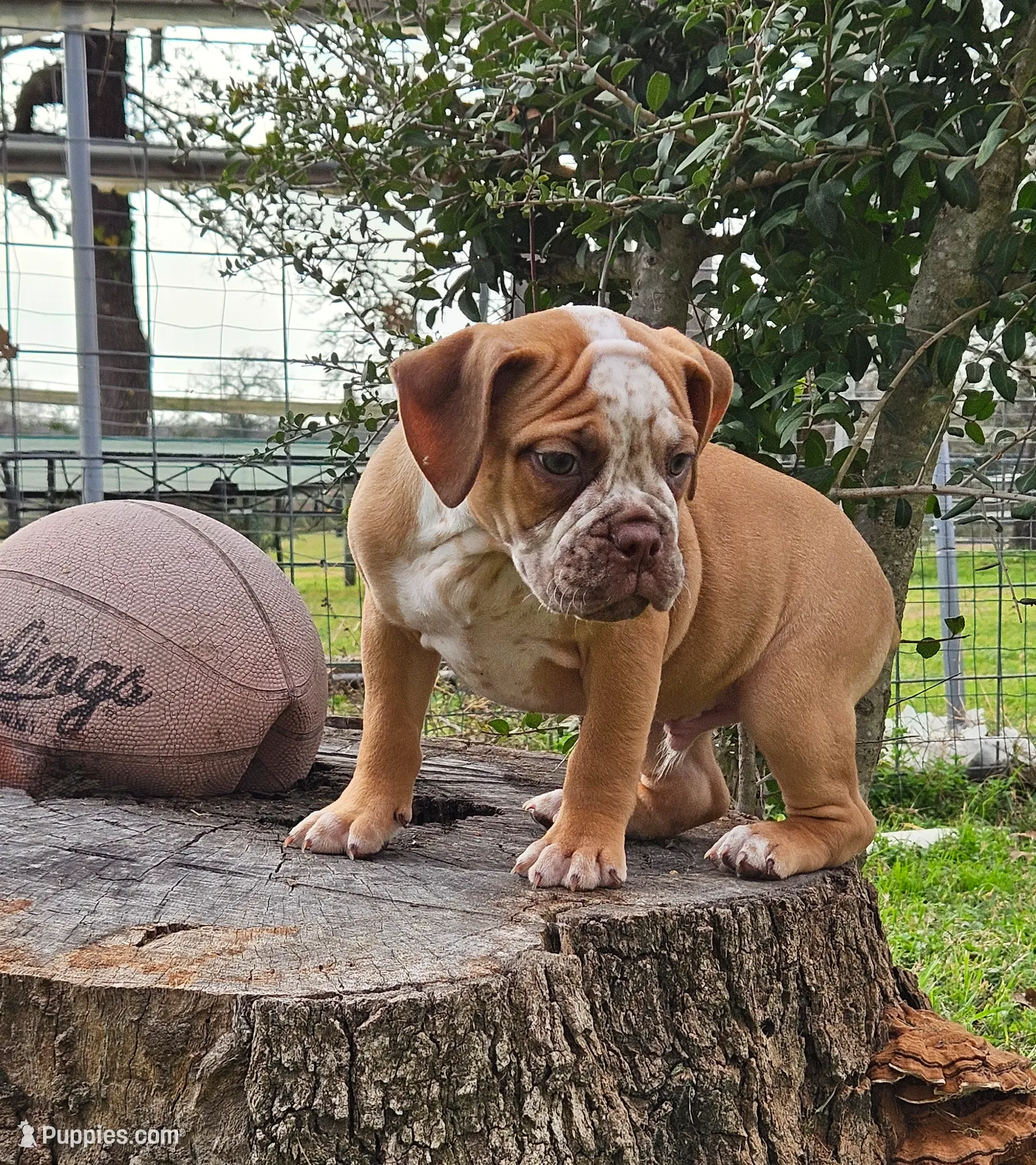 processed/9406c220-27f6-4387-acfe-d2d0c84f0a5e/listing/5a7f2a4e-d7c4-4612-b167-640feafb3eb6/be5c10e2-7501-4d6c-9c80-eb581d02760e