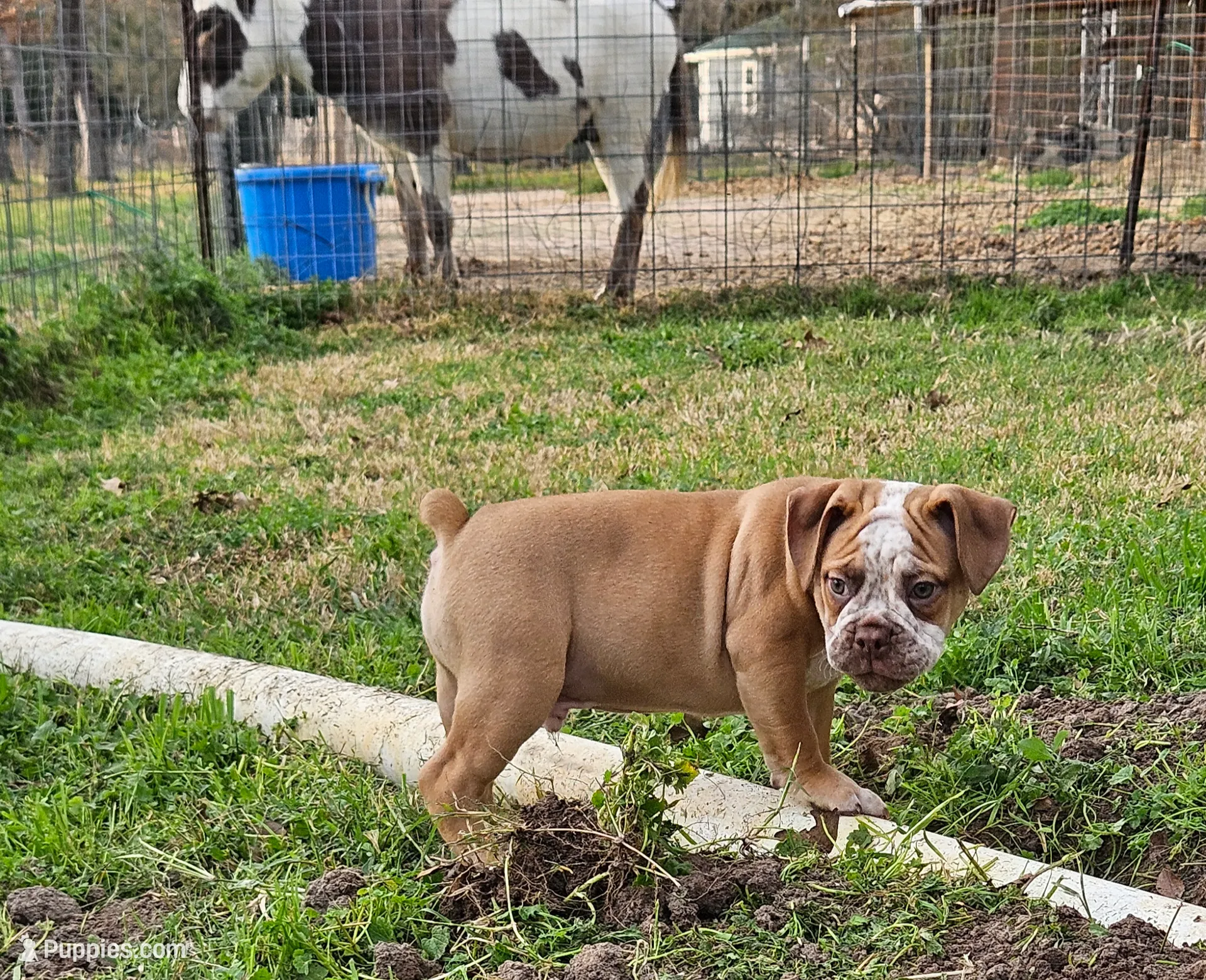 processed/9406c220-27f6-4387-acfe-d2d0c84f0a5e/listing/5a7f2a4e-d7c4-4612-b167-640feafb3eb6/c0167c73-a042-4b41-ad8a-4dff0d82c9e7