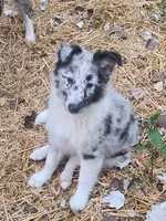 processed/9409bcac-9b69-443f-bf89-35f2f8af6879/listing/5efc3fac-549d-4581-898b-091edfd50c5b/342de32e-fd04-4d81-9248-cb1a1fb8a6af