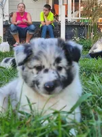 processed/9409bcac-9b69-443f-bf89-35f2f8af6879/listing/5efc3fac-549d-4581-898b-091edfd50c5b/f85c7d99-0bab-4293-9029-aac52ac41681