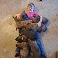 processed/940e3aaf-dce6-4e6c-adc5-a232af218f01/facility/172fc1d4-9dc7-4f5d-b8e0-e0fea8f5c1f6