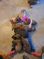 processed/940e3aaf-dce6-4e6c-adc5-a232af218f01/facility/172fc1d4-9dc7-4f5d-b8e0-e0fea8f5c1f6