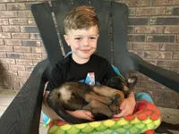 processed/940e3aaf-dce6-4e6c-adc5-a232af218f01/facility/3abfd92d-f06e-4f1f-9e86-818fe507347b