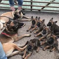 processed/940e3aaf-dce6-4e6c-adc5-a232af218f01/facility/3f96cee4-6604-4665-913d-038cddafbb42