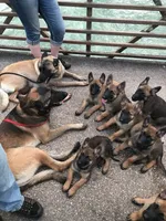 processed/940e3aaf-dce6-4e6c-adc5-a232af218f01/facility/3f96cee4-6604-4665-913d-038cddafbb42