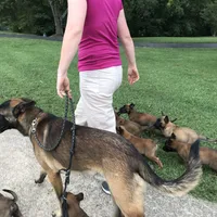 processed/940e3aaf-dce6-4e6c-adc5-a232af218f01/facility/4ef00d46-3aaf-4373-9d4a-3858667f0497