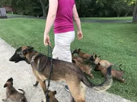 processed/940e3aaf-dce6-4e6c-adc5-a232af218f01/facility/4ef00d46-3aaf-4373-9d4a-3858667f0497