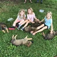 processed/940e3aaf-dce6-4e6c-adc5-a232af218f01/facility/8bb675e8-b0a8-48e3-9549-d0c00fa2524d