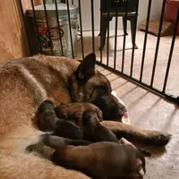 processed/940e3aaf-dce6-4e6c-adc5-a232af218f01/facility/b00687e1-9cf0-4e8e-a5c6-0fab4ad59408