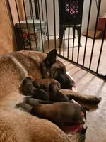 processed/940e3aaf-dce6-4e6c-adc5-a232af218f01/facility/b00687e1-9cf0-4e8e-a5c6-0fab4ad59408