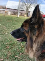 processed/9414cdd7-10e4-4bb5-a88c-b2e3b6a01ea4/listing/8e880d81-017f-4a24-acef-3dd613244920/18628ca8-589c-47ac-bec6-db0d4763e1eb