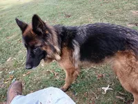 processed/9414cdd7-10e4-4bb5-a88c-b2e3b6a01ea4/listing/8e880d81-017f-4a24-acef-3dd613244920/1f369653-fe00-42b7-8922-f9b7d348bc0e