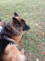 processed/9414cdd7-10e4-4bb5-a88c-b2e3b6a01ea4/listing/8e880d81-017f-4a24-acef-3dd613244920/6381ce8b-a102-46f2-94f3-56d8ae73978e