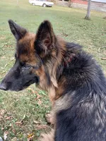 processed/9414cdd7-10e4-4bb5-a88c-b2e3b6a01ea4/listing/8e880d81-017f-4a24-acef-3dd613244920/6f36acec-eefa-4946-bcd2-e71b17b7449d