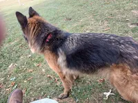 processed/9414cdd7-10e4-4bb5-a88c-b2e3b6a01ea4/listing/8e880d81-017f-4a24-acef-3dd613244920/94e3ad7a-8aa6-46f6-a906-8aba50879b6d