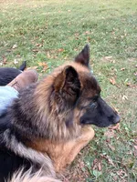 processed/9414cdd7-10e4-4bb5-a88c-b2e3b6a01ea4/listing/8e880d81-017f-4a24-acef-3dd613244920/fda06a32-4ca1-447a-8321-586cf2da1de9