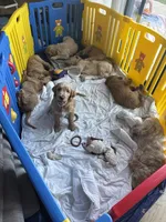 processed/9417e314-ff4d-43de-9525-d9931891611b/facility/4df5bc9b-371e-410e-bbc3-93772f247122