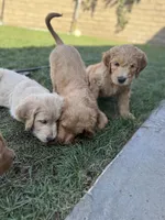 processed/9417e314-ff4d-43de-9525-d9931891611b/facility/6691ab21-8c92-4028-8c43-95305850af5c