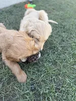 processed/9417e314-ff4d-43de-9525-d9931891611b/facility/c4e776f6-21c8-48c0-8921-9796a11922ce