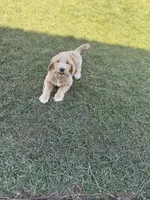 processed/9417e314-ff4d-43de-9525-d9931891611b/facility/cef6c1d4-5e4e-47ee-afbd-d41196291d98