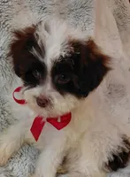 processed/942d72b1-7d3f-4c0b-9efc-821e57df692e/listing/28b8644e-2c27-49c7-81e2-bedeea7d00a0/b4a7eeb2-4f66-4379-aec0-814d553bbe59