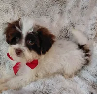 processed/942d72b1-7d3f-4c0b-9efc-821e57df692e/listing/28b8644e-2c27-49c7-81e2-bedeea7d00a0/c3d6ee77-c1e8-403b-aba9-4eb5a5b0d8cc