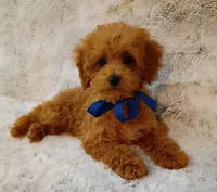 processed/942d72b1-7d3f-4c0b-9efc-821e57df692e/listing/9a6e7c4e-60e9-4a4f-984d-ed317e7572ca/8db7b013-a7e1-48b3-bbf5-4a1119f1771c