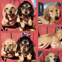 processed/94324c33-97eb-4a20-99dd-0957dab626ee/facility/13a41eea-8717-4e60-8fb9-3f35b395711c