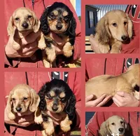 processed/94324c33-97eb-4a20-99dd-0957dab626ee/facility/13a41eea-8717-4e60-8fb9-3f35b395711c