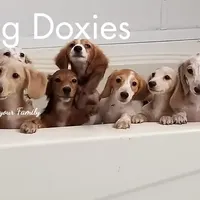 processed/94324c33-97eb-4a20-99dd-0957dab626ee/facility/218f2a64-fbb9-491b-96cd-d7af3a90a4e9