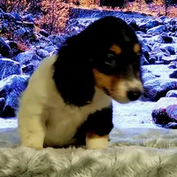 processed/94324c33-97eb-4a20-99dd-0957dab626ee/facility/3db066df-2821-4114-a351-8ac4a6bae2c8