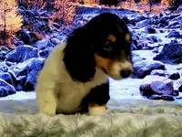 processed/94324c33-97eb-4a20-99dd-0957dab626ee/facility/3db066df-2821-4114-a351-8ac4a6bae2c8