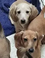 processed/94324c33-97eb-4a20-99dd-0957dab626ee/facility/5eb28050-fef8-4603-8aaf-25be941d3e17