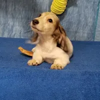 processed/94324c33-97eb-4a20-99dd-0957dab626ee/facility/755c2a47-94be-4de7-abc8-6ffb2842d954