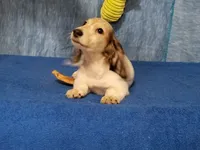 processed/94324c33-97eb-4a20-99dd-0957dab626ee/facility/755c2a47-94be-4de7-abc8-6ffb2842d954