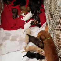 processed/94324c33-97eb-4a20-99dd-0957dab626ee/facility/9546671a-1337-4280-b1eb-58ae3f253f12