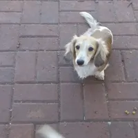 processed/94324c33-97eb-4a20-99dd-0957dab626ee/facility/995b431b-59a8-4a52-be6b-3cbab5ab33cd