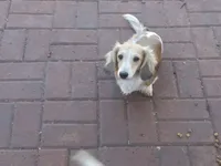 processed/94324c33-97eb-4a20-99dd-0957dab626ee/facility/995b431b-59a8-4a52-be6b-3cbab5ab33cd