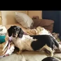 processed/94324c33-97eb-4a20-99dd-0957dab626ee/facility/d2625aa7-0b81-49be-a051-da882d118f18