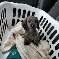 processed/94324c33-97eb-4a20-99dd-0957dab626ee/facility/fb5f9552-cabe-45f4-9ba3-25bbbb244fb1