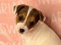 processed/9433500d-bf2f-4f40-a080-aca76ca87981/facility/0e47450c-1ad4-459c-bcc7-a89df87f3385