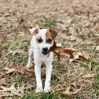 processed/9433500d-bf2f-4f40-a080-aca76ca87981/facility/71456d1f-cea3-4bb9-a441-fc80de4f95fe