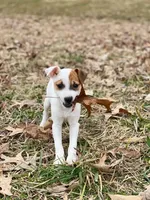 processed/9433500d-bf2f-4f40-a080-aca76ca87981/facility/71456d1f-cea3-4bb9-a441-fc80de4f95fe