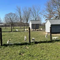 processed/9433500d-bf2f-4f40-a080-aca76ca87981/facility/91a66e7f-6689-4d9b-8ec3-67fb9969745b