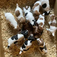 processed/9433500d-bf2f-4f40-a080-aca76ca87981/facility/badaf2ee-4b45-4f13-a7c9-992e91cfc067